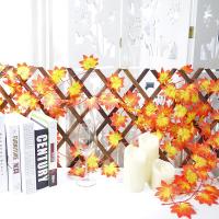 uploads/erp/collection/images/Home Garden/CongDing/XU0612325/img_b/XU0612325_img_b_4